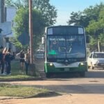 Libres: anunciaron el cronograma de entrega del Boleto Estudiantil Gratuito