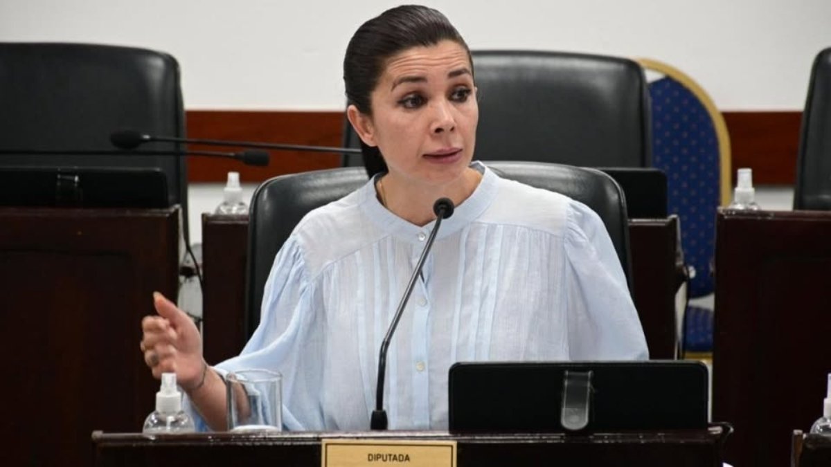 El PJ chaqueño tildó de “tránsfuga” a una diputada del Frente Renovador
